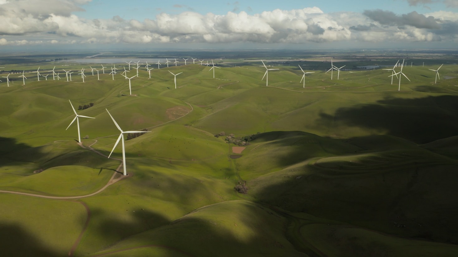 Sustentabilidade no Comércio: Um Diferencial Competitivo